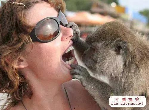 牙医图片搞笑,牙齿也能笑出声